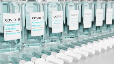 Гинцбург посоветовал гражданам вакцинироваться после легкой формы COVID-19 - newinform.com - Россия