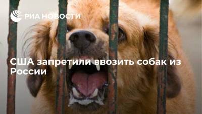 США вводят временный запрет на ввоз собак из 113 стран мира, включая Россию - ria.ru - Россия - Сша - Вашингтон - Грузия