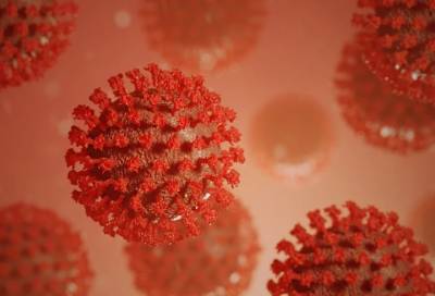 Вирусологи разработали новый способ борьбы с коронавирусом - online47.ru - штат Канзас