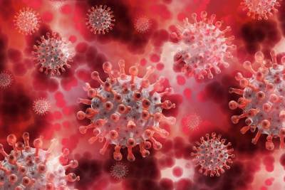 Международная группа ученых сообщила о доказательствах естественного происхождения коронавируса - news.vse42.ru - Сша - Англия - Австралия