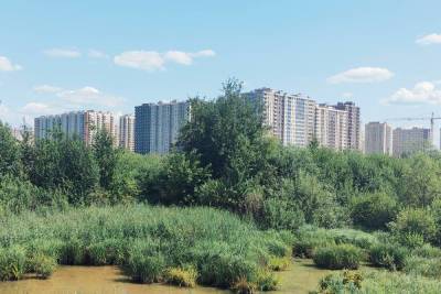 Названы лучшие по экологии районы Подмосковья для покупки жилья - smartmoney.one - Московская обл.
