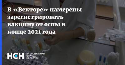 В «Векторе» намерены зарегистрировать вакцину от оспы в конце 2021 года - nsn.fm - Россия