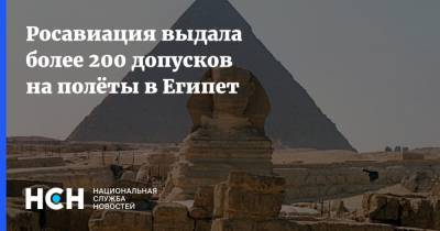 Росавиация выдала более 200 допусков на полёты в Египет - nsn.fm - Россия - Египет - Каир