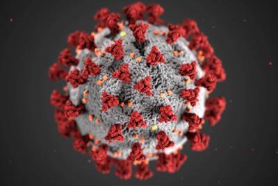 Эндрю Поллард - Вакцинолог Поллард назвал мифом достижение коллективного иммунитета к COVID-19 из-за новых штаммов - abnews.ru
