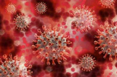 Сумья Сваминатан - В мире за сутки выявлено почти 670 тысяч новых случаев коронавируса - pnp.ru