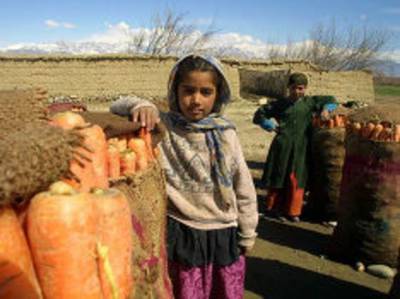 Дэвид Бизли - «Голод, засуха, террористы»: в ООН предрекли жителям Афганистана «ад» - rosbalt.ru - Россия - Афганистан