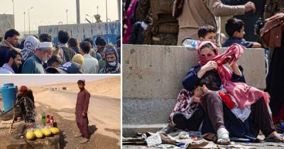 Дэвид Бизли - Война в Афганистане – в ООН завили об угрозе голода – последние новости - obozrevatel.com - Афганистан
