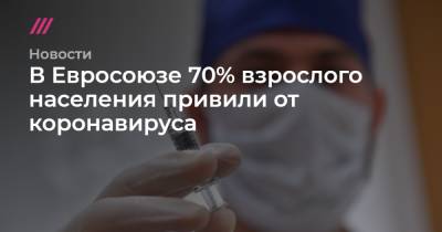 В Евросоюзе 70% взрослого населения привили от коронавируса - tvrain.ru - Евросоюз - деревня Ляйен