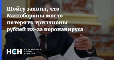 Сергей Шойгу - Шойгу заявил, что Минобороны могло потерять триллионы рублей из-за коронавируса - nsn.fm - Россия