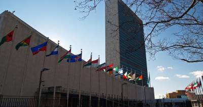 Стефан Дюжаррик - В ООН поддержали призыв ВОЗ приостановить ревакцинацию - ren.tv