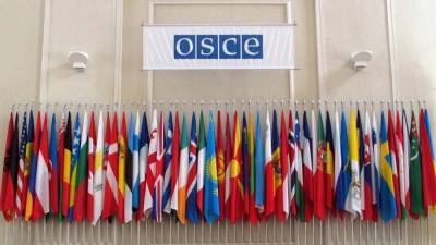 ОБСЕ не направит наблюдателей на выборы в Госдуму - anna-news.info - Россия