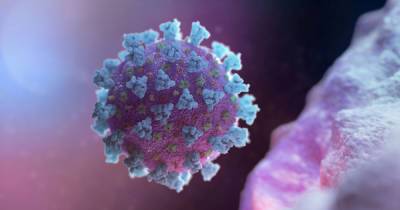 В России признали более 27 тысяч смертей от последствий коронавируса в июне - dsnews.ua - Россия