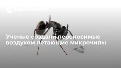 Ученые создали переносимые воздухом летающие микрочипы - ria.ru - Москва