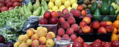 Россельхознадзор выявил возбудителей опасных заболеваний во фруктах и помидорах из Турции - runews24.ru - Турция