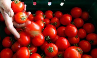 Россельхознадзор заявил о несоответствии турецких овощей и фруктов санитарным нормам - og.ru - Россия - Турция