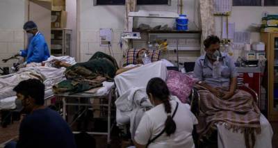 Индия - Возвращение страха - от вируса Нипах в Индии умер подросток - ru.armeniasputnik.am - Армения - India - штат Керала