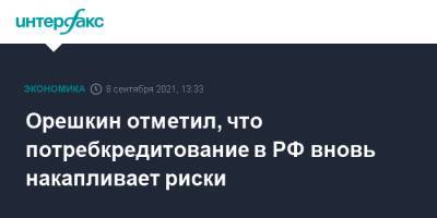 Максим Орешкин - Орешкин отметил, что потребкредитование в РФ вновь накапливает риски - interfax.ru - Россия - Москва