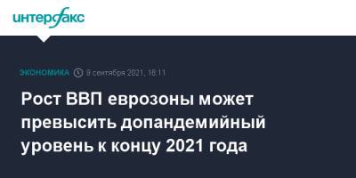 Кристин Лагард - Рост ВВП еврозоны может превысить допандемийный уровень к концу 2021 года - interfax.ru - Москва