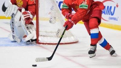 Российских хоккеистов сняли с рейса из-за нарушения масочного режима - 5-tv.ru - Россия - Канада - Швеция - Чехия
