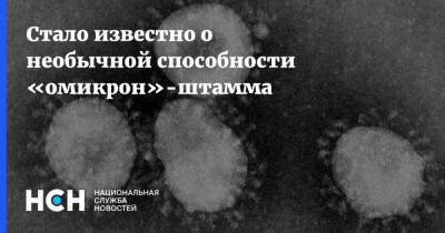 Александр Чепурнов - Стало известно о необычной способности «омикрон»-штамма - nsn.fm - Covid-19