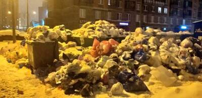Почему в Петербурге произошел «мусорный коллапс». Версии регеоператора и участников рынка - znak.com - Санкт-Петербург