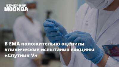 Денис Логунов - В ЕМА положительно оценили клинические испытания вакцины «Спутник V» - vm.ru - Россия
