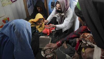 Давид Сассоли - Германия - ООН запускает две программы гуманитарной помощи жителям Афганистана - ru.euronews.com - Сша - Италия - Германия - Евросоюз - Афганистан
