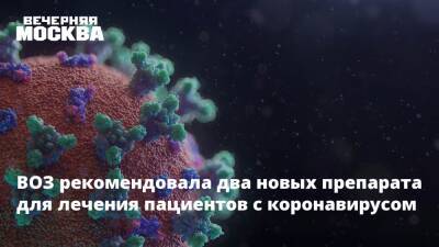 Александр Гинцбург - ВОЗ рекомендовала два новых препарата для лечения пациентов с коронавирусом - vm.ru - Россия