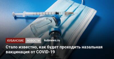 Александр Гинцбург - Стало известно, как будет проходить назальная вакцинация от COVID-19 - kubnews.ru - Краснодарский край