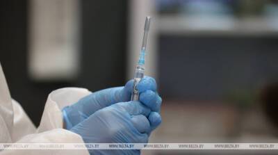 Карл Нехаммер - В Австрии введут обязательную вакцинацию от коронавируса для людей старше 18 лет - belta.by - Белоруссия - Вена - Минск - Австрия
