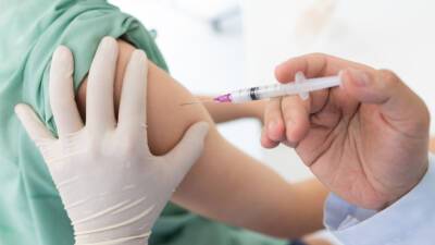 Карл Нехаммер - В Австрии вводят обязательную вакцинацию для граждан с 18 лет - mir24.tv - Сша - Вена - Австрия - Нью-Йорк