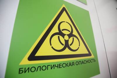 Ученые выяснили, когда инфицированный омикрон-штаммом становится заразным - volg.mk.ru