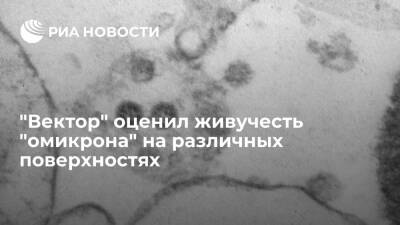 ГНЦ "Вектор" заявил, что "омикрон" становится неактивным на керамике менее чем за 24 часа - ria.ru - Россия - Москва - Юар - Ботсвана
