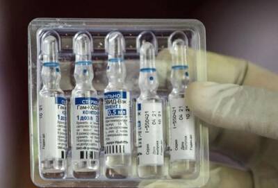 Маркус Эдерер - EMA запросило дополнительную документацию по вакцине «Спутник V» - argumenti.ru - Россия - Евросоюз