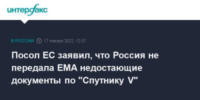 Маркус Эдерер - Посол ЕС заявил, что Россия не передала EMA недостающие документы по "Спутнику V" - interfax.ru - Россия - Москва - Евросоюз - Брюссель - Covid-19