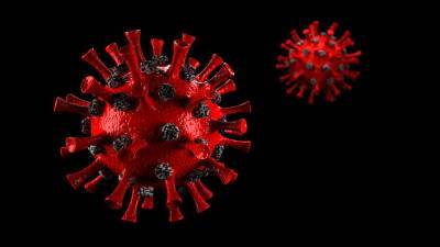 Ученые выяснили, как коронавирус поражает почки и мира - cursorinfo.co.il - Сша - Германия - Голландия - Израиль