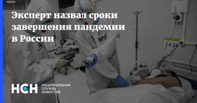 Петр Чумаков - Эксперт назвал сроки завершения пандемии в России - nsn.fm - Россия