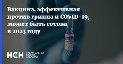 Стефан Бансель - Вакцина, эффективная против гриппа и COVID-19, может быть готова в 2023 году - nsn.fm - Сша - Covid-19