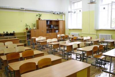 В Петербурге выросло количество школьных классов на дистанционном обучении из-за COVID-19 - spb.mk.ru - Санкт-Петербург - Covid-19