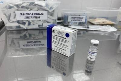 Курская область получила еще 19 200 доз вакцины «Спутник V» - chr.mk.ru - Курская обл.