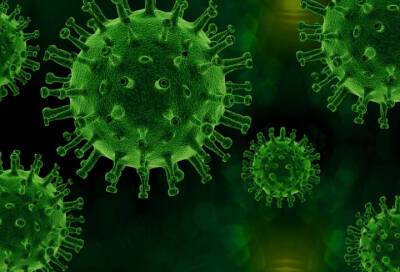 Александр Гинцбург - Гинцбург заявил о разработке теста на вируснейтрализующие антитела к "омикрону" - online47.ru - Россия - Санкт-Петербург