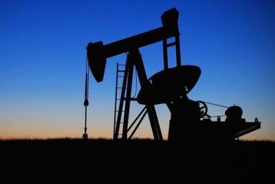 Цена нефти Brent превысила 87 долларов впервые за семь лет - mk.ru - Сша
