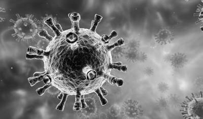 Ученые рассказали о необходимости модернизации анализа на коронавирус - mkset.ru - Юар