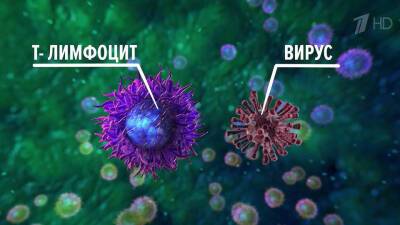 По мнению специалистов, главным инструментом в борьбе с пандемией остается вакцинация - 1tv.ru - Россия - Москва