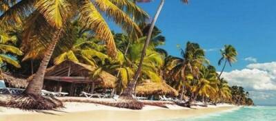 Биткойн-миллионеры переезжают на Карибы: в чем причина - altcoin.info - Нью-Йорк - штат Техас - Сан-Хосе - Пуэрто-Рико