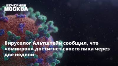 Анатолий Альтштейн - Вирусолог Альтштейн сообщил, что «омикрон» достигнет своего пика через две недели - vm.ru - Россия - Сша - Англия