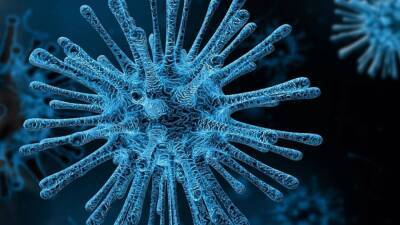 ECDC предупредил о риске двойной пандемии в Европе из-за COVID-19 и сезона гриппа - inforeactor.ru - Covid-19