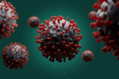 Регулятор ЕС предупредил о риске двойной эпидемии гриппа и COVID-19 - aif.ru - Covid-19
