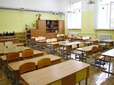Ирина Потехина - Из-за «омикрона» в петербургских школах отменят мероприятия и сократят срок карантина - neva.today - Санкт-Петербург