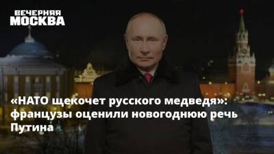 Владимир Путин - «НАТО щекочет русского медведя»: французы оценили новогоднюю речь Путина - vm.ru - Россия - Франция